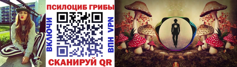 Галлюциногенные грибы Psilocybe  Малоярославец 